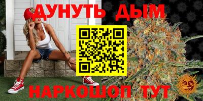 гидропоника Краснознаменск