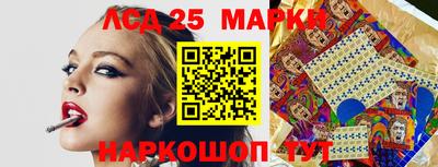 гидропоника Краснознаменск