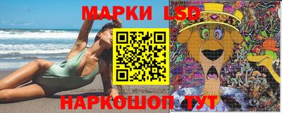 гидропоника Краснознаменск