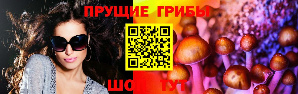 Галлюциногенные грибы Psilocybine cubensis  Галлюциногенные грибы GOLDEN TEACHER  Вход с VPN  где продают   Знаменск 